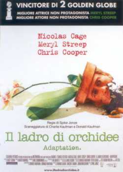locandina Adaptation