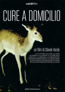 locandina Cure a domicilio