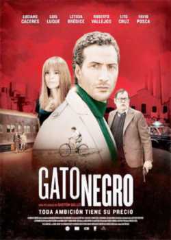 locandina Gato Negro