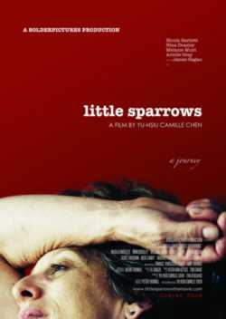 locandina Little Sparrows