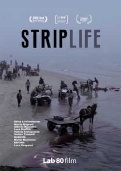 locandina Striplife - A Day in Gaza