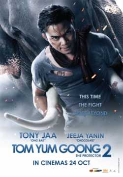 locandina The Protector 2