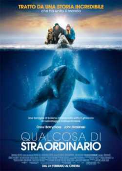 locandina Qualcosa di straordinario