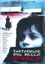 locandina Tartarughe dal becco d'ascia